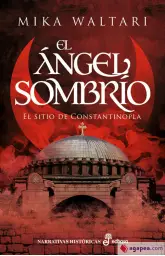 Imagen del producto 9788435064002