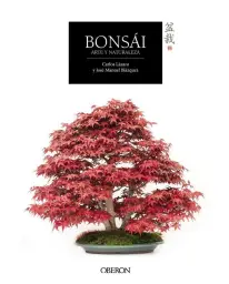 Imagen del producto 9788441537118