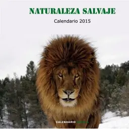 Imagen del producto 9788448019976