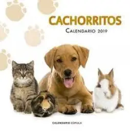 Imagen del producto 9788448024673