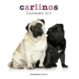 Imagen del producto 9788448024680