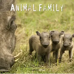 Imagen del producto 9788448027643