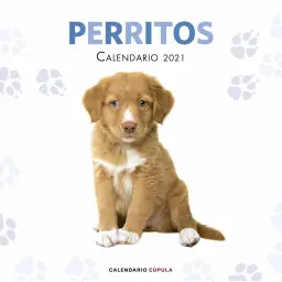 Imagen del producto 9788448027766