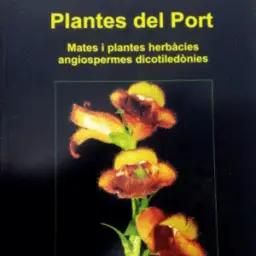 Imatge del producte 9788461280612