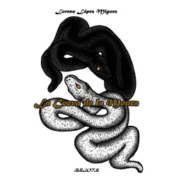 Imagen del producto 9788461719877