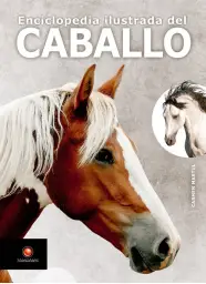 Imagen del producto 9788466242462