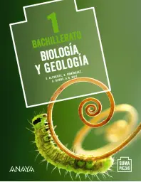 Imagen del producto 9788469860984