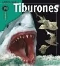 Imagen del producto 9788480168571
