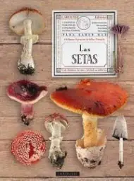 Imagen del producto 9788480169738