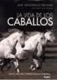 Imagen del producto 9788480768214