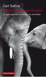 Imagen del producto 9788481095746