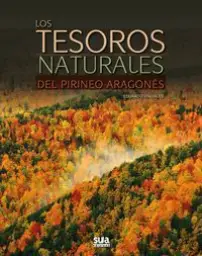 Imagen del producto 9788482166131