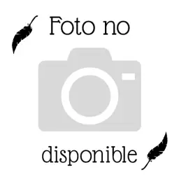 Imagen del producto 9788490013755