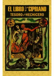 Imagen del producto 9788490014295