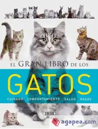 Imagen del producto 9788490050842
