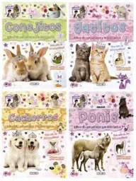 Imagen del producto 9788490370001