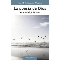 Imagen del producto 9788490619919