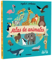 Imagen del producto 9788491019275