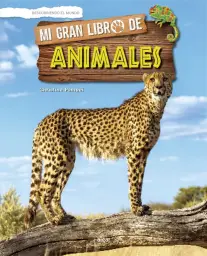  Imatge del producte9788491422761