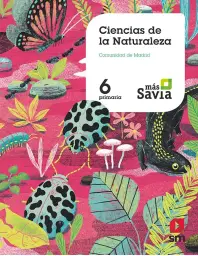 Imagen del producto 9788491822875