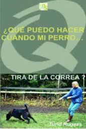 Imagen del producto 9788493323288