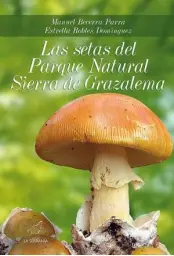 Imagen del producto 9788496607491