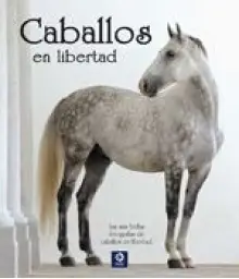 Imagen del producto 9788497942348