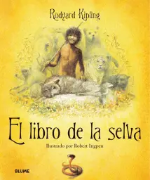Imagen del producto 9788498011883