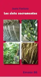 Imagen del producto 9788498053937