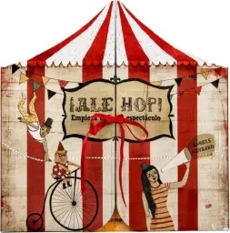 Imagen del producto 9788498259148