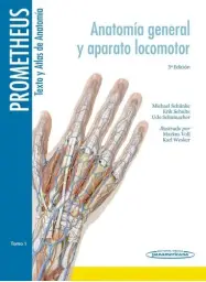 Imagen del producto 9788498358933