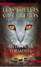 Imagen del producto 9788498385335
