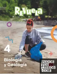 Imagen del producto 9788498561043