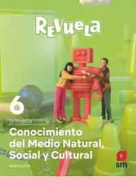 Imagen del producto 9788498561173