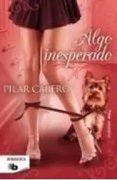 Imagen del producto 9788498729511
