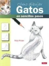 Imagen del producto 9788498743197