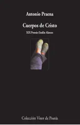 Imagen del producto 9788498954319