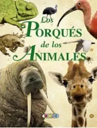 Imagen del producto 9788499138800