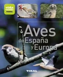 Imagen del producto 9788499281407
