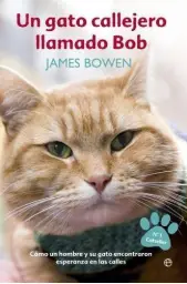 Imagen del producto 9788499709451