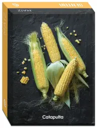 Imagen del producto 9789876377294