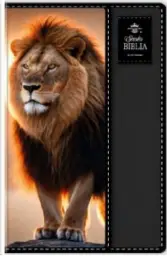 Imagen del producto 9798893844436