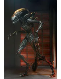 Imagen del producto 0634482517413