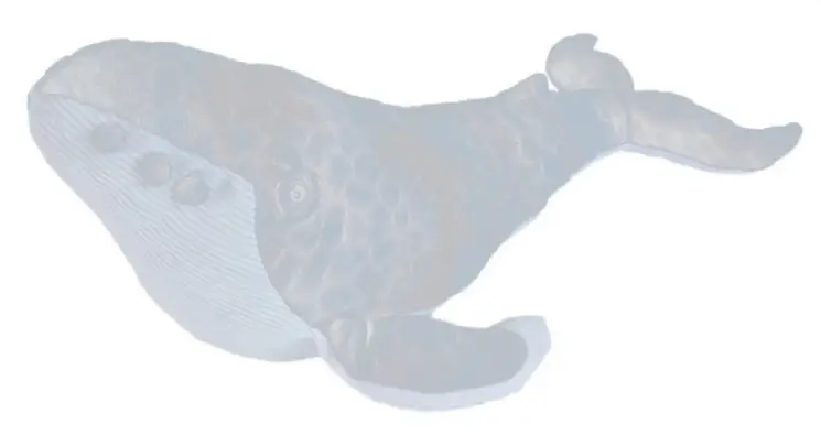 Imagen del producto 0092389224726