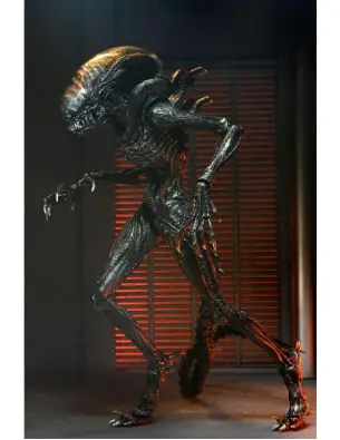 Imagen del producto 0634482517413