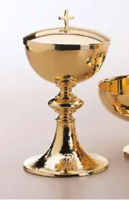 Imagen del producto 1000150001093