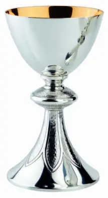 Imagen del producto 1000150001369
