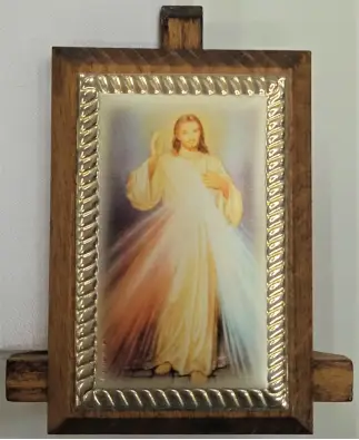 Imagen del producto 1000150002540