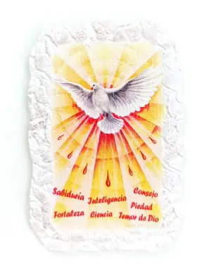 Imagen del producto 1000150002724