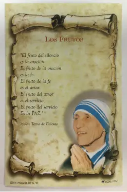 Imagen del producto 1000150004728